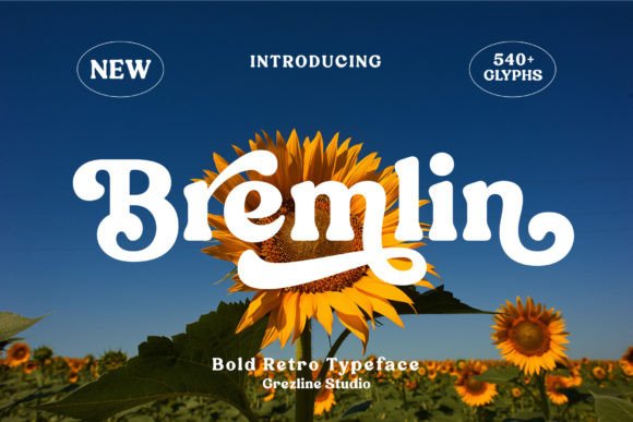 Bremlin: A Bold Retro Font for Your Grooviest Projects